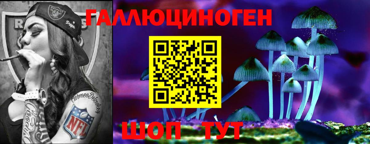купить  цена  Галлюциногенные грибы GOLDEN TEACHER  Вход с VPN  Псилоцибиновые грибы прущие грибы  Хабаровск 