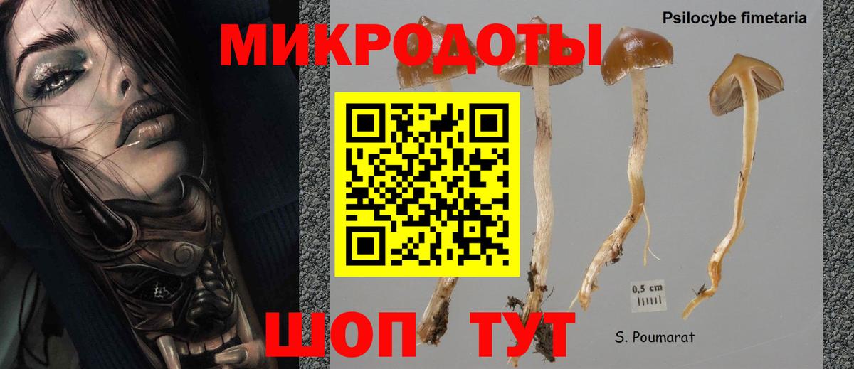 Псилоцибиновые грибы MAGIC MUSHROOMS Хабаровск